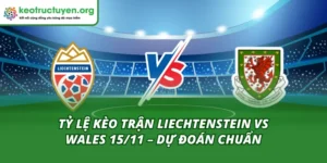 Tỷ Lệ Kèo Trận Liechtenstein Vs Wales 15/11