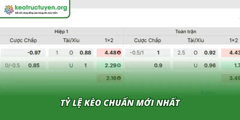 Tỷ Lệ Kèo Trận Nottingham - Wolverhampton 12/02: Kèo Cân Não Phân tích chỉ số cược giữa Nottingham vs Wolverhampton
